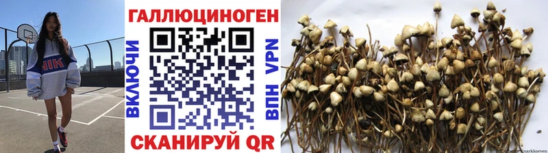 Купить закладки  Грайворон  Псилоцибиновые грибы ЛСД 